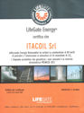 LIFEGATE energy
